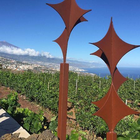 Finca Angelus Apartment Syrah With Amazing Views La Matanza De Acentejo Екстер'єр фото