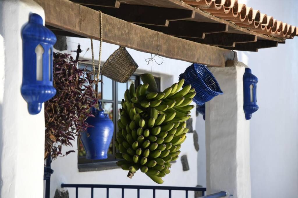 Finca Angelus Apartment Syrah With Amazing Views La Matanza De Acentejo Екстер'єр фото