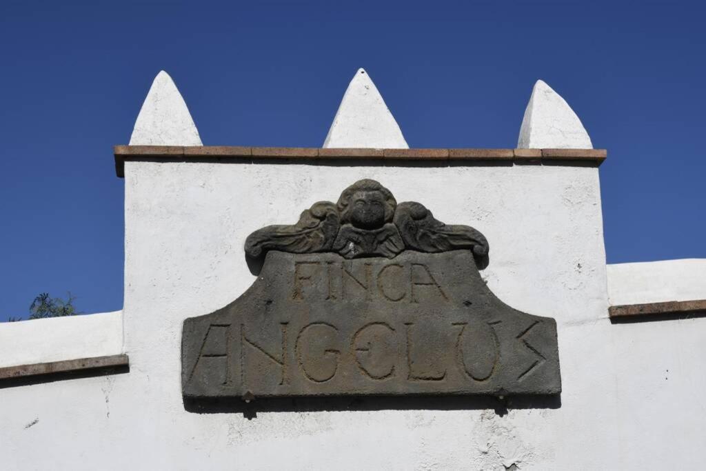 Finca Angelus Apartment Syrah With Amazing Views La Matanza De Acentejo Екстер'єр фото