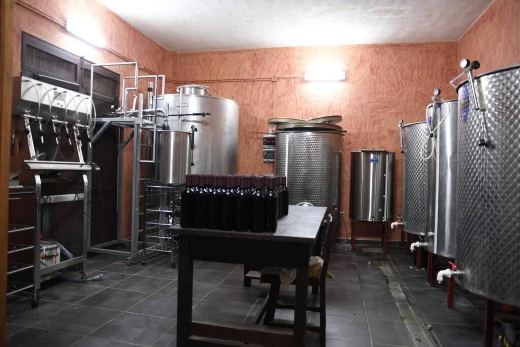 Finca Angelus Apartment Syrah With Amazing Views La Matanza De Acentejo Екстер'єр фото
