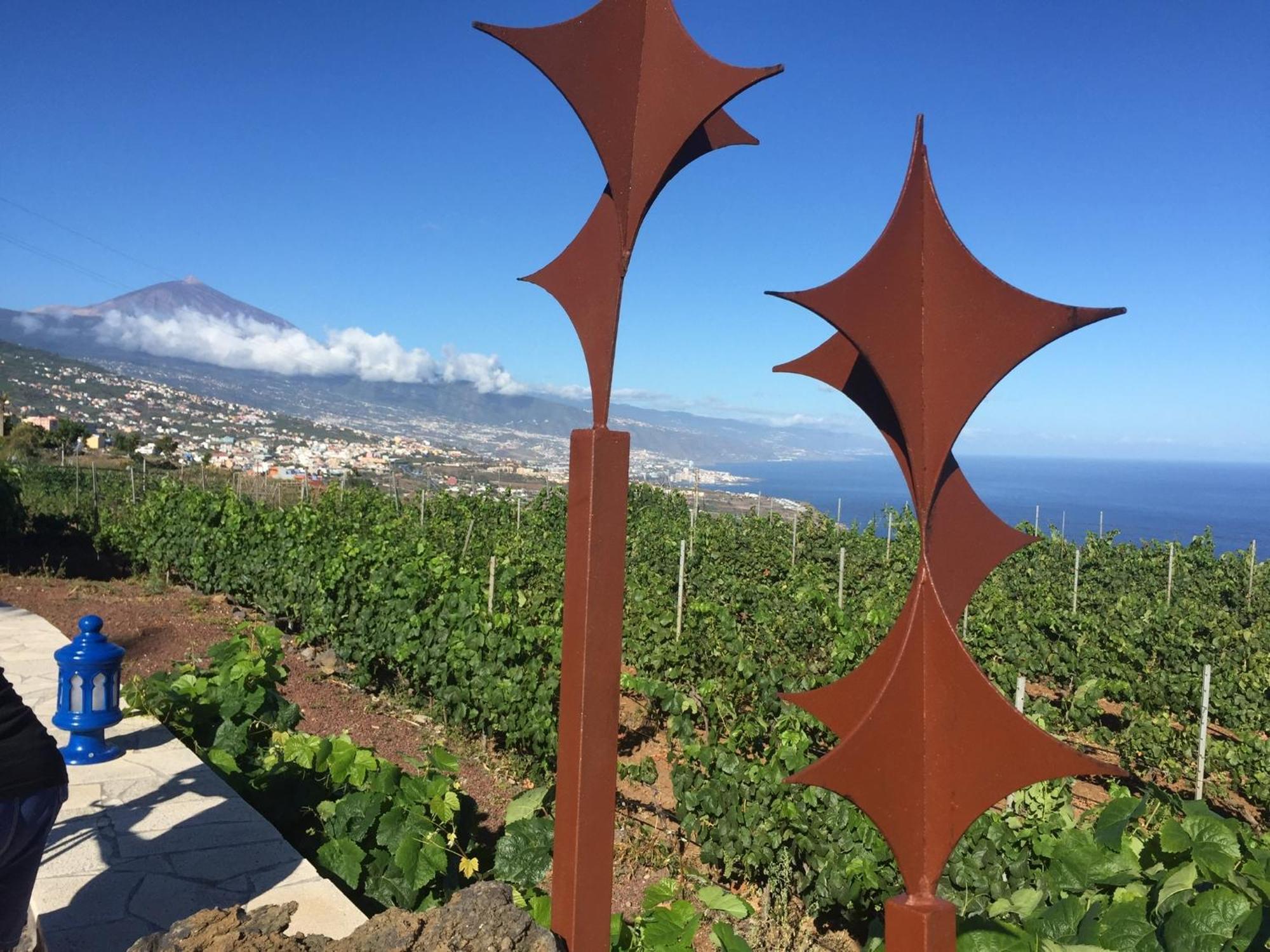 Finca Angelus Apartment Syrah With Amazing Views La Matanza De Acentejo Екстер'єр фото
