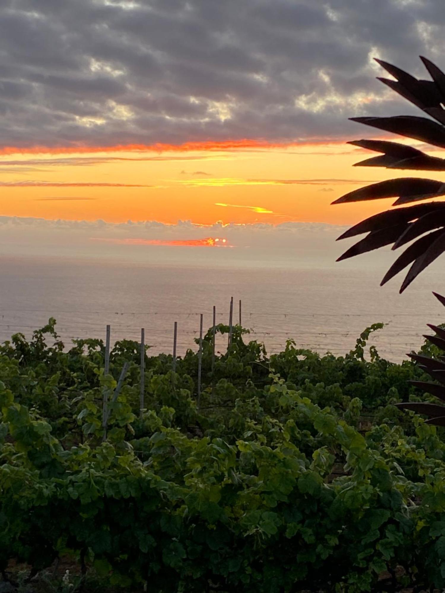 Finca Angelus Apartment Syrah With Amazing Views La Matanza De Acentejo Екстер'єр фото